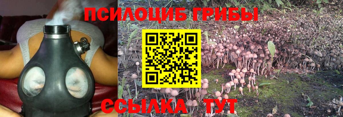 Псилоцибиновые грибы GOLDEN TEACHER Вятские Поляны