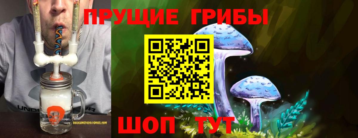 Псилоцибиновые грибы Cubensis  Вход с VPN  Вятские Поляны 